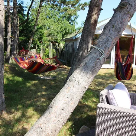 Grosse-wilde-betten *