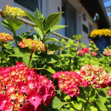 Grosse-wilde-betten Apartment Wittdun