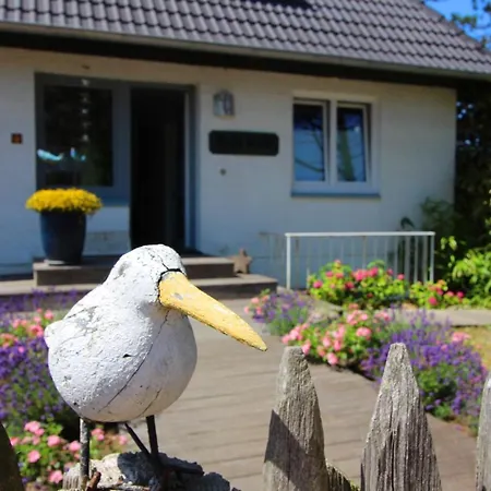 Grosse-wilde-betten *