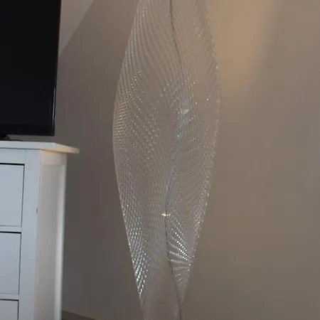 Grosse-wilde-betten *